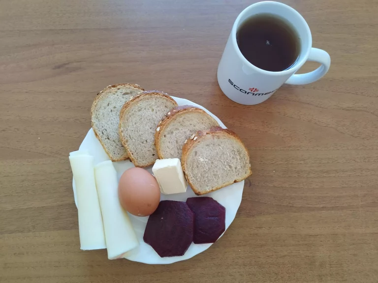 Śniadanie: dieta o kontrolowanej zawartości kwasów tłuszczowych

chleb mieszany z płatkami owsianymi 90g, margaryna miękka 10g, ser żółty 40g, jajko na twardo, buraki kiszone 20g, herbata czarna