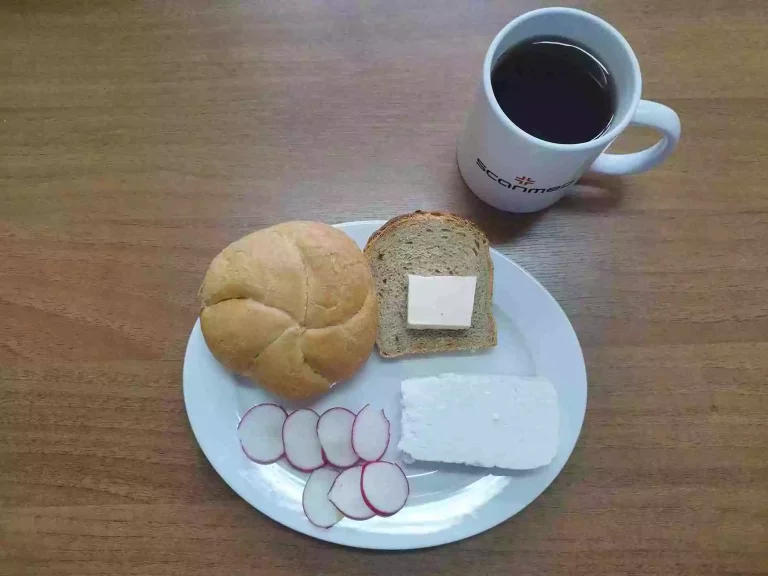 Śniadanie: dieta podstawowa

bułka pszenna 60g, chleb mieszany z płatkami owsianymi 20g, margaryna miękka 10g, ser biały w kawałku 100g, rzodkiewka, herbata czarna
A: 1,7
