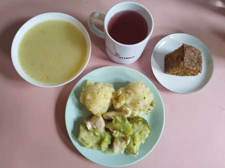 Obiad: dieta łatwostrawna

zupa krem z białych warzyw 450 ml, ziemniaki gotowane 200g, sos z kurczakiem i brokułem 150g, woda z sokiem owocowym
A: 1,7,9
