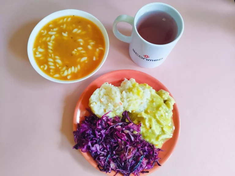 Obiad: dieta podstawowa

zupa pomidorowa z makaronem 450ml, ryż biały 100g, kurczak w sosie curry 200g, surówka z czerwonej kapusty i jabłka 110g, woda z sokiem owocowym
A: 1,3,7
