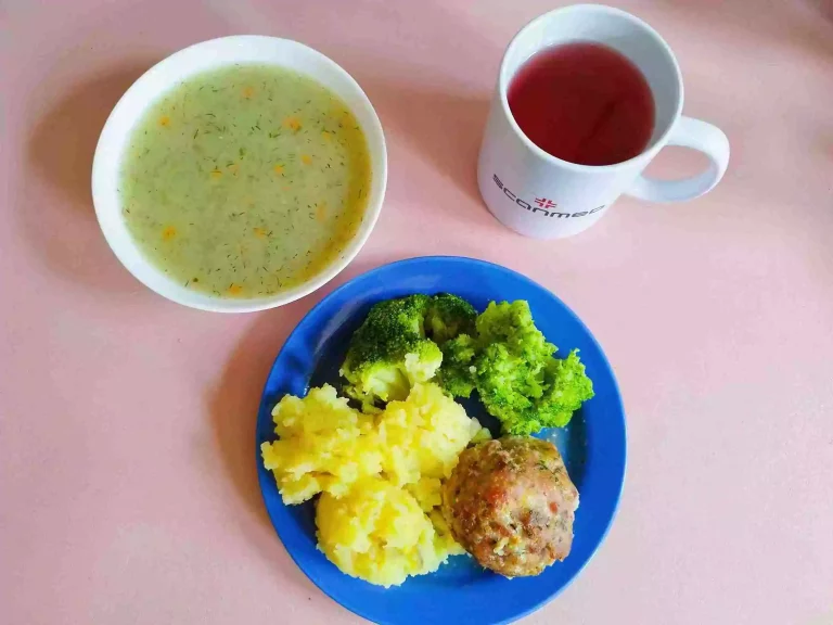 Obiad: dieta łatwostrawna 

zupa koperkowa 450ml, kotlet mielony pieczony 100g, ziemniaki gotowane 150g, brokuł gotowany 100g, woda z sokiem owocowym
A: 1,3,7

