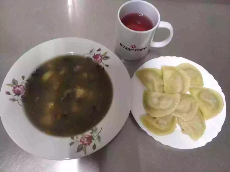 Obiad: dieta podstawowa

zupa pieczarkowa 450ml, pierogi z mięsem, woda z sokiem owocowym
A: 1,3,7
