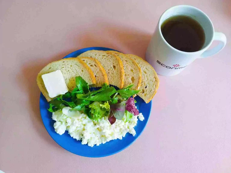 Śniadanie: dieta łatwostrawna

chleb pszenny 70g, margaryna miękka 10g, twarożek 120g, mix sałat, herbata czarna
A: 1,7
