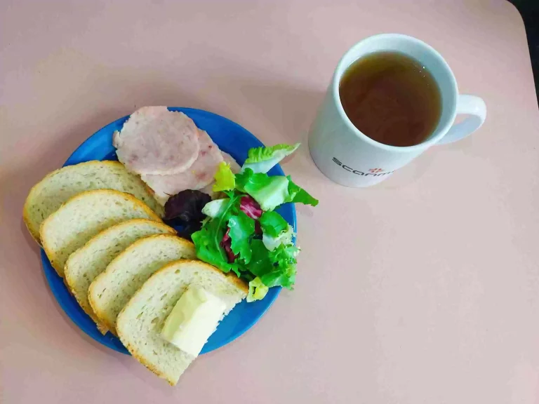 Śniadanie: dieta łatwostrawna

chleb pszenny 70g, margaryna miękka 10g, wedlina 60g, mix sałat, herbata czarna
A: 1,7
