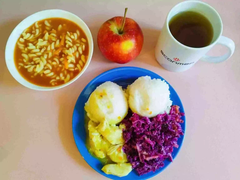 Obiad: dieta podstawowa

zupa pomidorowa z makaronem 450ml, ryż biały 100g, kurczak w sosie curry 200g, surówka z czerwonej kapusty i jabłka 110g, woda z sokiem owocowym, jabłko
A: 1,3
