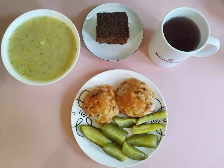 obiad dieta podstawowa: zupa koperkowa 450ml, gołąbki w sosie pomidorowym 250g, ogórek kiszony 50g, woda z sokiem owocowym, domowe ciasto marchewkowe
A: 1,3