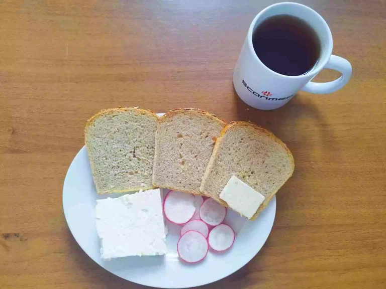 Śniadanie: dieta o kontrolowanej zawartości kwasów tłuszczowych

chleb mieszany z płatkami owsianymi 70g, margaryna miękka 10g, ser biały w kawałku 100g, rzodkiewka, herbata czarna
A: 1,7

