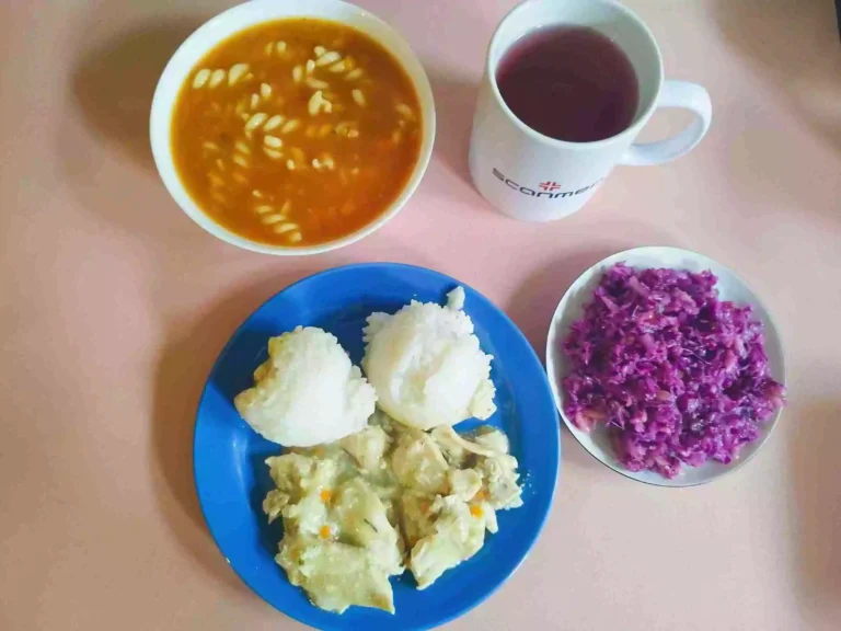 Obiad: dieta podstawowa

zupa pomidorowa z makaronem 450ml, ryż biały 100g, kurczak w sosie curry 150g, surówka z czerwonej kapusty i jabłka 110g, woda z sokiem owocowym
A: 1,3,9
