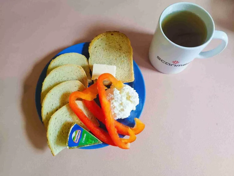 Śniadanie: dieta podstawowa

chleb pszenny 60g, chleb mieszany z płatkami owsianymi 20g, margaryna miękka 10g, twarożek 100g, ser topiony 30g, papryka 40g, herbata czarna
A: 1,7
