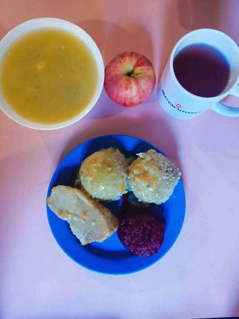 Obiad: dieta podstawowa

zupa koperkowa 450ml, mięso wieprzowe w kawałku w sosie własnym 120g, kasza jęczmienna 100g, buraczki zasmażane 80g, woda z sokiem owocowym, jabłko
A: 1
