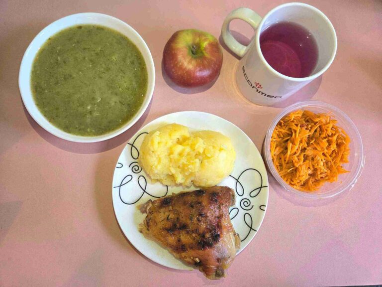 obiad dieta podstawowa: zupa krem szpinakowa 450ml, udko pieczone z kurczaka 120g, ziemniaki gotowane 170g, surówka z tartej marchewki i jabłka 110g, woda z sokiem malinowym, jabłko